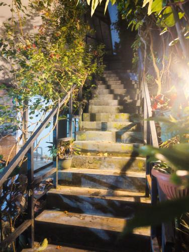a set of stairs with plants on them at Antica 91 Villa in Galle