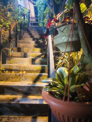 a set of stairs with a plant in a pot at Antica 91 Villa in Galle