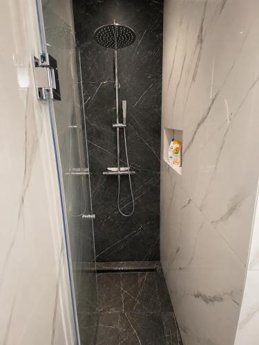 LA1 luxury apartment near Bacvice beach