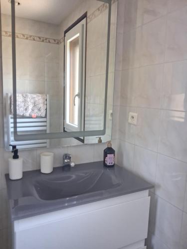 a bathroom with a sink and a mirror at Maison de vacances en Corrèze in Saint-Pardoux-lʼOrtigier