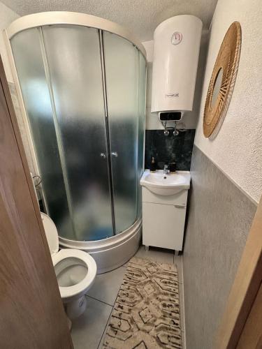 a bathroom with a shower and a toilet and a sink at Vikendica Mavi in Gradačac