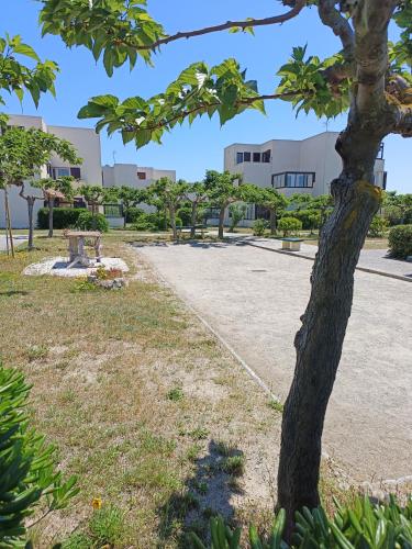 Plage à 50m Terrasse, Clim & Parking