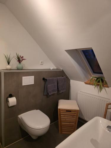 a bathroom with a toilet and a sink at Kiek mol rin - Richmanns Appartements in Hüde