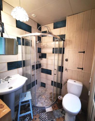 a bathroom with a shower and a toilet and a sink at Esprit d'Antan in Ploubazlanec