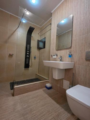 a bathroom with a shower and a sink and a toilet at Casa de la Mare in Eforie Sud