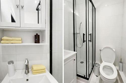 a bathroom with a shower and a toilet and a sink at Peaceful haven in Honfleur