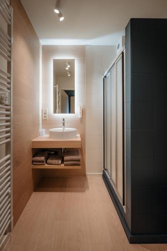 ein Badezimmer mit Waschbecken und Spiegel in der Unterkunft Hotel Saint-Hubert in Malmedy