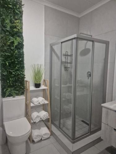 a bathroom with a shower and a toilet at The One Wave - 2 Bed Serenity meets Luxury in Midrand