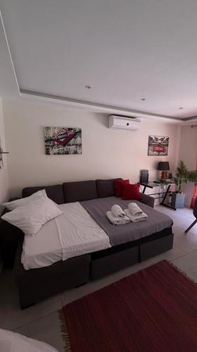Cosy Apartment