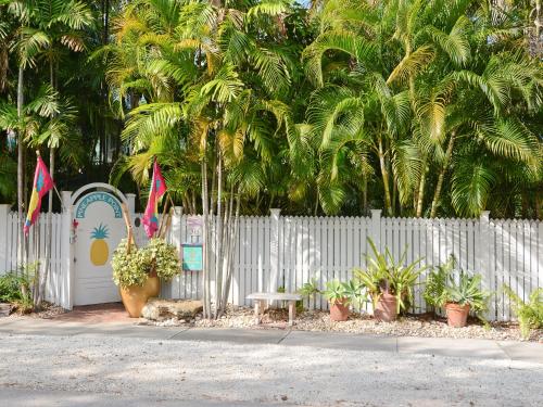 Jardin de l'établissement Pineapple Point Guesthouse & Resort - Gay Men's Resort