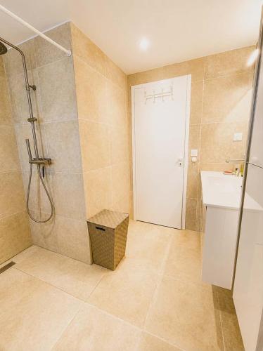 a bathroom with a shower and a sink at La Maison du Bonheur in Saint-Raphaël