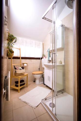 a bathroom with a shower and a toilet and a sink at Boho House 5 camp Terme Catez with promotional tickets prices in Čatež ob Savi