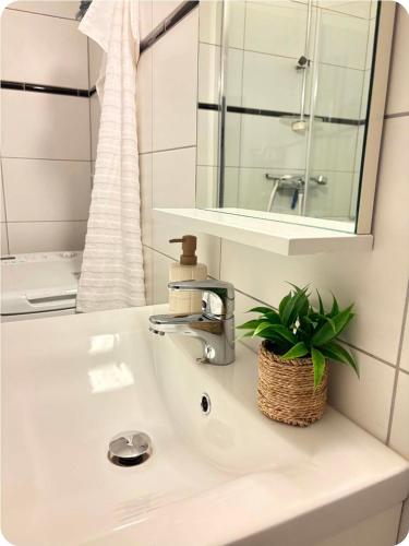 a bathroom sink with a mirror and a plant on it at Oppheim apartment, shared Pool & Sauna in Vossevangen