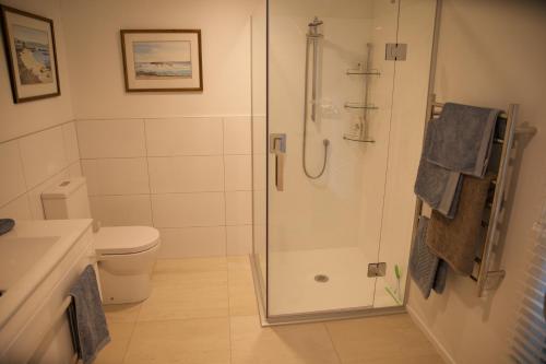 a bathroom with a shower and a toilet at Sunny Glen Cottage in Waikanae
