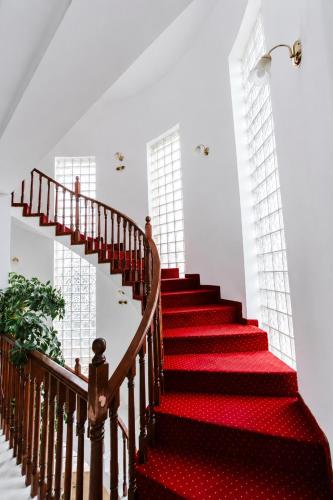 a red carpeted staircase in a house with windows at Pensiunea Rozeclas in Sînmartin