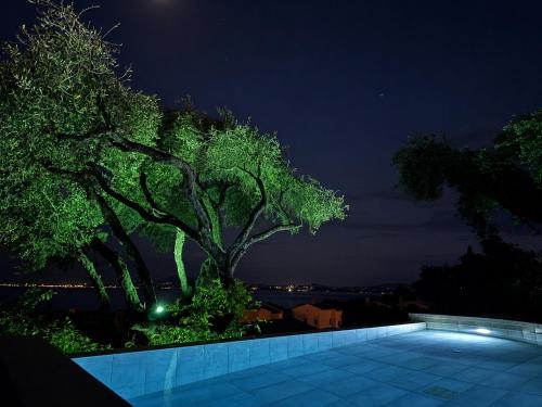 a night view of a tree and a swimming pool at Anemos Villa Barbati Corfu in Barbati