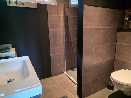 a bathroom with a shower and a toilet and a sink at Kouwenberg in Aarle-Rixtel