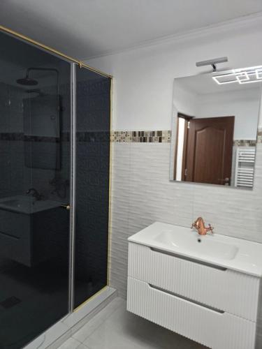 a bathroom with a sink and a shower and a mirror at Casa Roberto in Budeşti
