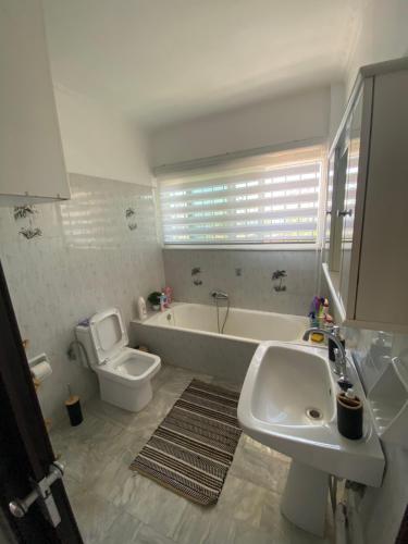 a bathroom with a sink and a tub and a toilet at Selinia Apartments in Selínia