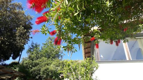 Maison et jardin sur les hauteurs de Nice