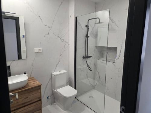 a bathroom with a shower and a toilet and a sink at Plaza España 2 in Alcazar de San Juan