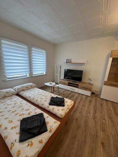 a bedroom with two beds and a flat screen tv at Relax in the Harz in Hasselfelde