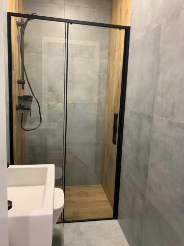 a bathroom with a shower with a toilet and a sink at Skorzęcin Apartamenty Orla in Skorzęcin
