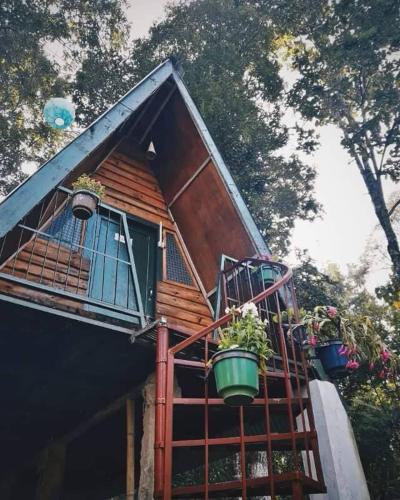 a house with a balcony with potted plants on it at Nalari Resort in Borpāni