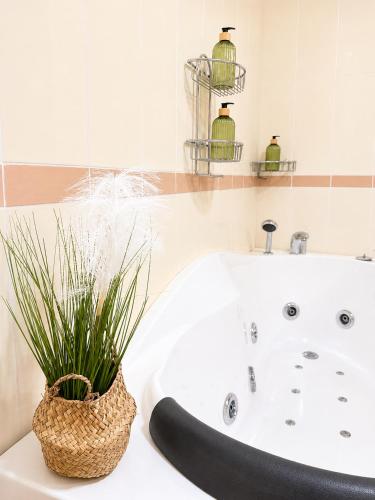 a bathroom with a bath tub with a plant in a basket at SPLENDID Sunset Penthouse in Rafailovici