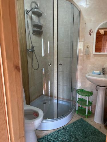a bathroom with a shower with a toilet and a sink at Затишок in Svityazʼ