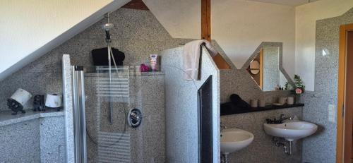 a bathroom with a shower and a sink at Haus Neubauer in Giengen an der Brenz