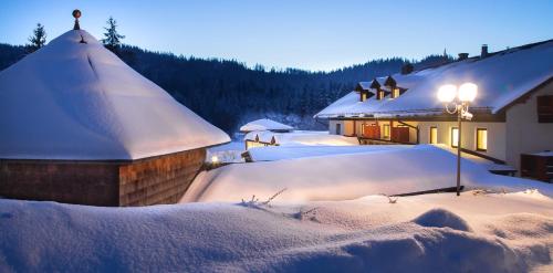 a group of snow covered roofs of a building at Wellness- und Vitalhotel Böhmhof in Bodenmais