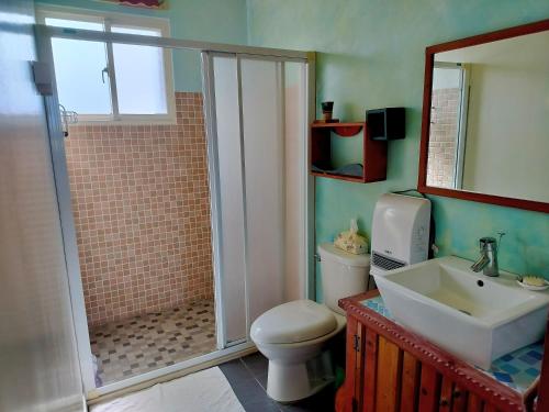 a bathroom with a shower and a toilet and a sink at Mei Shiou B&B in Dongshan