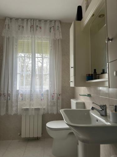 a bathroom with a toilet and a sink and a window at Refugio Rural A Revolta in Bergazo