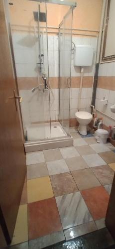 a bathroom with a shower and a toilet at My Way in Vladičin Han