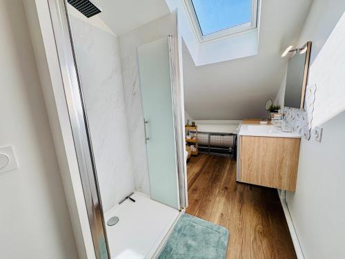 a small bathroom with a shower and a sink at Cocon Savoyard - Vues Alpes - 2 king size - Rando & VTT - Parking in Albertville