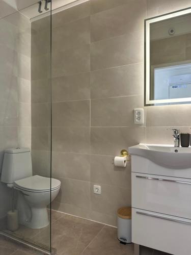 a bathroom with a toilet and a sink at Camino apartmani in Dračevo