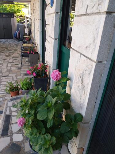 a bunch of plants sitting outside of a building at Sobe Kraft 2 in Živogošće