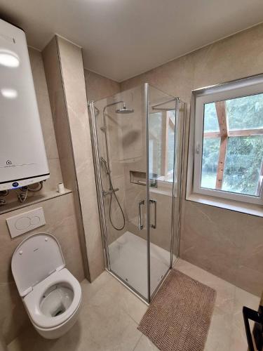 a bathroom with a shower and a toilet at MaxDan Lodge in Kranjska Gora