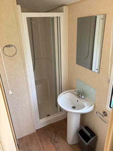 a bathroom with a sink and a shower at 19 Vale Park in Fishguard