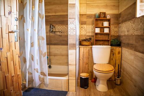 a bathroom with a toilet and a shower at Chata Ujo in Hranice