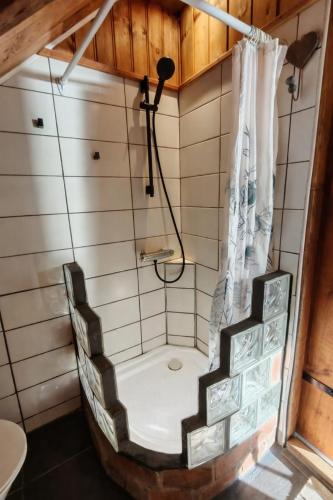 a shower in a small room with a toilet at Timber loft in Vigra
