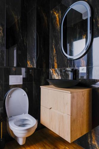 a bathroom with a toilet and a mirror at Ayan Băile Felix Apartament in Baile Unu Mai
