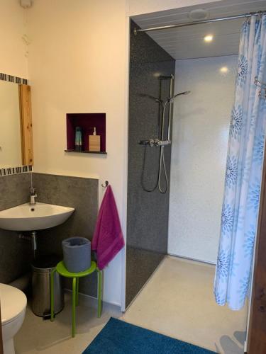 a bathroom with a shower and a sink and a toilet at The Shippon at RoseHip in Launceston