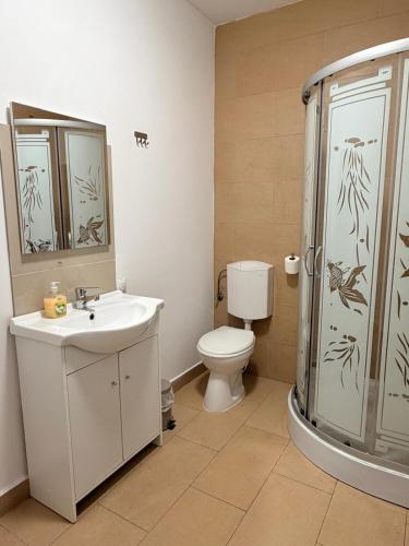a bathroom with a shower and a toilet and a sink at InnTime in Cluj-Napoca