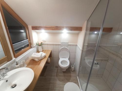 a bathroom with a toilet and a sink and a shower at Apartments Skok in Bled
