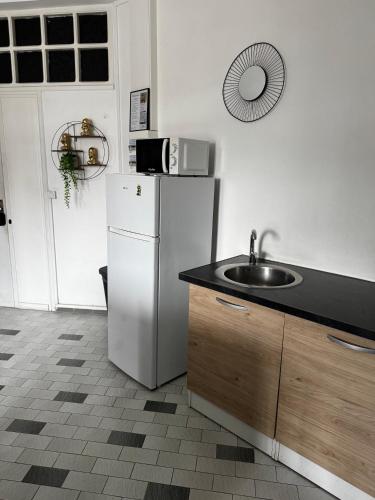 a kitchen with a white refrigerator and a sink at Urban Zen Appart Spacieux studio atypique avec bain a remous proche de tout in Pointe-à-Pitre