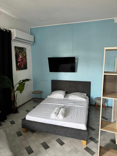 a bedroom with a bed with a tv on the wall at Urban Zen Appart Spacieux studio atypique avec bain a remous proche de tout in Pointe-à-Pitre