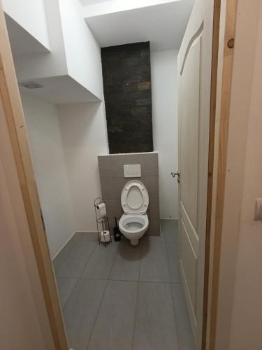 a small bathroom with a toilet in a room at Ruhige Unterkunft in Oberlungitz