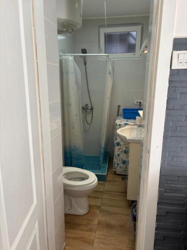 a bathroom with a toilet and a shower and a sink at Novosadska Tvrdjava Apartments in Petrovaradin
